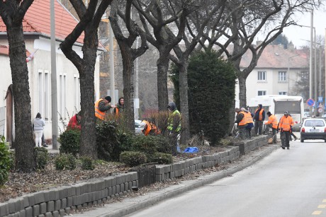 Gondosan összeválogatott évelő növényeket ültetnek a Rákóczi úti fasor alá